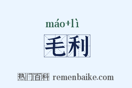 毛利是什么意思的图片